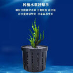 Aqua plant fixing busket