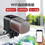 Auto feeder