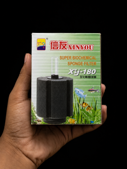 sponge filter